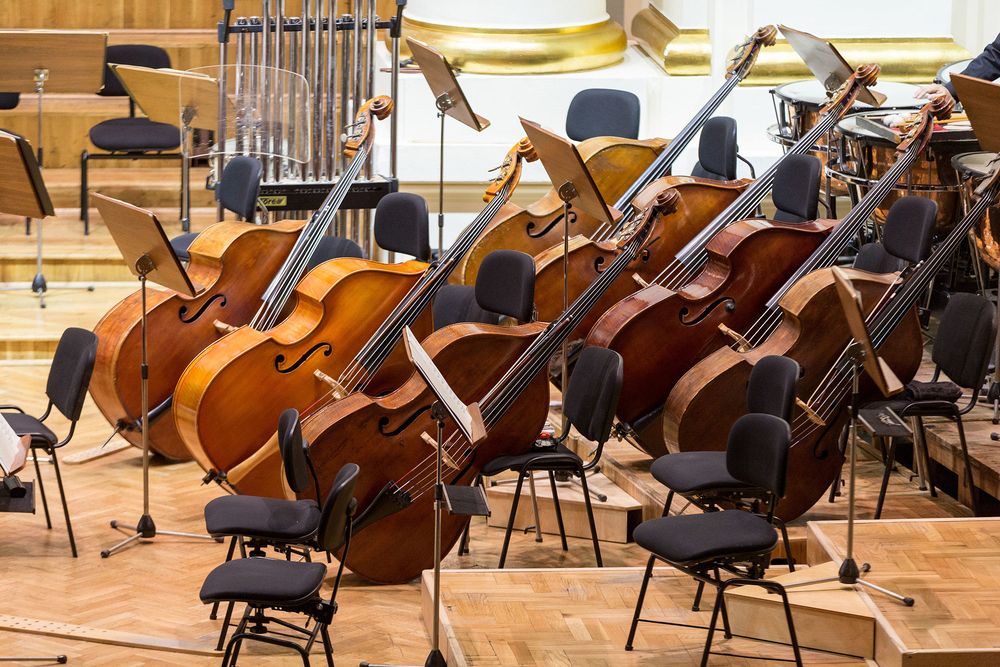 Der Kontrabass im Orchester Der Kontrabass im Orchester