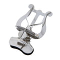 Riedl 203 N Lyre Trumpet Bell