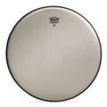 Remo 14" Renaissance Ambassador
