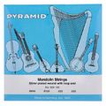 Pyramid 529 Mandolin String Set