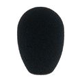 AKG W 32