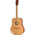 Harley Benton D-120NT