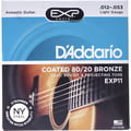 Daddario EXP11