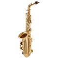 Thomann TAS-150