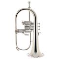 Thomann FH 600 GS Bb-Flugelhorn