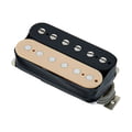 Gibson BurstBucker #1 Zebra
