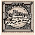 Ernie Ball 2070 Earthwood