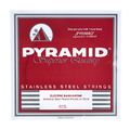 Pyramid 025 Single String bass guitar