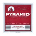 Pyramid 040 Single String bass guitar