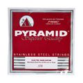 Pyramid 126 Single String bass guitar