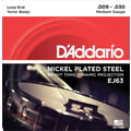 Daddario EJ63