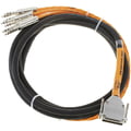 Avid DB25-TRS Digisnake 12
