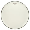 Remo 24" Ambassador White Smooth