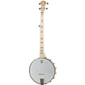 Deering Goodtime Banjo