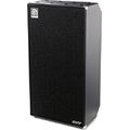 Ampeg Heritage SVT-810E