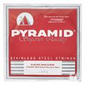 Pyramid 085 Single String bass guitar