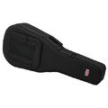 Gator Foam Case Classic