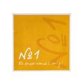 Pirastro No.1 E Violin 4/4 KGL