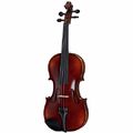 Roth & Junius Europe 4/4 Student Violin Set