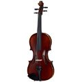 Roth & Junius Europe 1/4 Student Violin Set