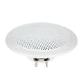 Visaton FR13WP White