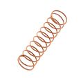 Thomann Valve Spring 10,6x44,5