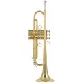 Carol Brass CTR-5000L-YST-Bb-L