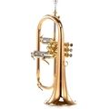 Carol Brass CFL-6200-GSS-Bb-L