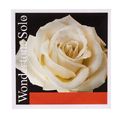Pirastro Wondertone E Violin 4/4 Solo