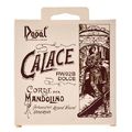 Dogal Mandolin Calace RW92B