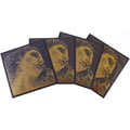 Pirastro Evah Pirazzi Gold G-SI LP