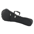 Kala Gigbag Concert