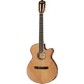Ibanez AEG10NII-NT