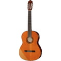 Yamaha CGX 102