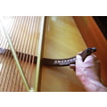 Jahn Soundboard Cleaning Rod