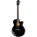 Ibanez AEG10II-BK
