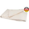 Stairville Curtain 500g/m² 3.0x3.0m Cream