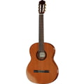 Cordoba C5