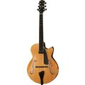 Peerless Guitars Maestro Martin Taylor