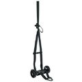 RC Williams Company Bass Buggie