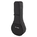 Thomann Mandolin Case