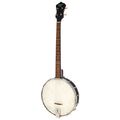 Recording King RKT-05 Dirty 30s Tenor Banjo