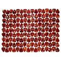 Fender Classic Celluloid Pick Set M