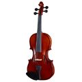 Gewa Pure Violinset HW 1/2