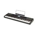 Korg Havian 30
