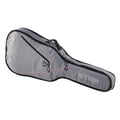 Ritter RGP2 Classical 3/4 Guitar SRW