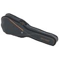 Ritter RGS3 Folk Guitar MGB