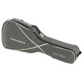 Ritter RGS7 Classical 4/4 w/ext P SGL