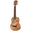 Leolani GC95C Concert