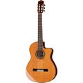 Cordoba Fusion Orchestra CE Cedar